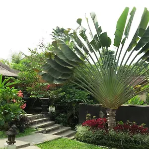  Villa Nirvana